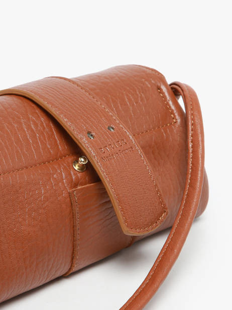 Shoulder Bag S Agnes Leather Etrier Brown agnes EAGC205S other view 8
